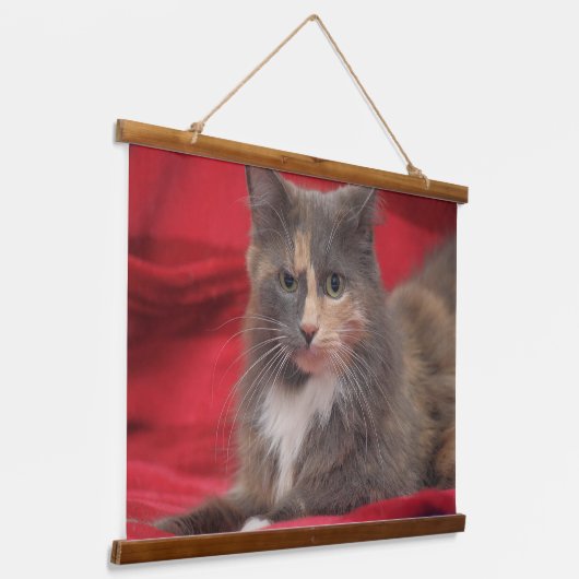 Schöne Katze mit rotem Hintergrund zum Entspannen Wandteppich Mit Holzrahmen (Gewinkelt)