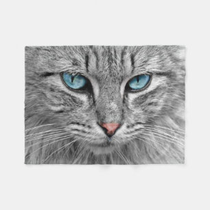 Schöne Katze Nahaufnahme Fleecedecke