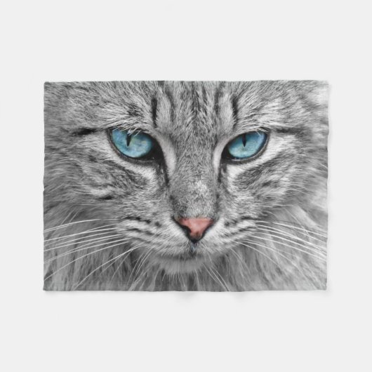 Schöne Katze Nahaufnahme Fleecedecke (Vorderseite (Horizontal))