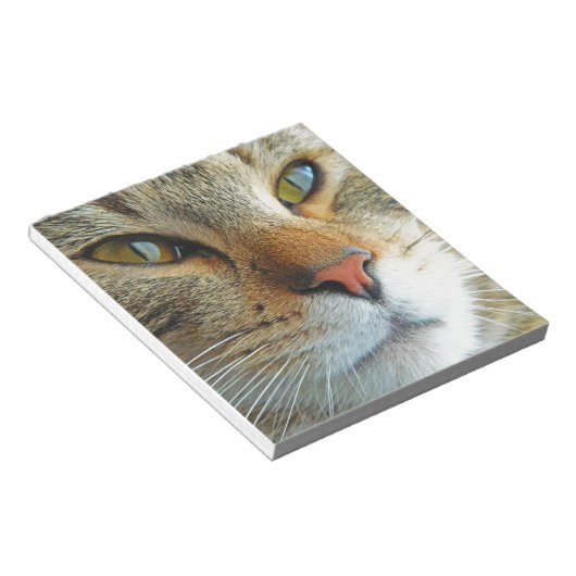 Schöne Katze Notizblock (angewinkelt)