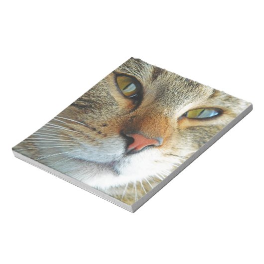 Schöne Katze Notizblock (Rotiert)