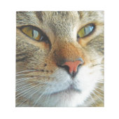 Schöne Katze Notizblock (Vorderseite)