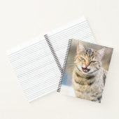 Schöne Katze Notizbuch (Innenseite)