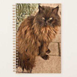 Schöne Katze Planer
