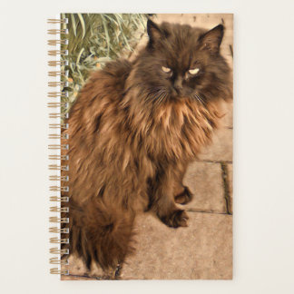 Schöne Katze Planer