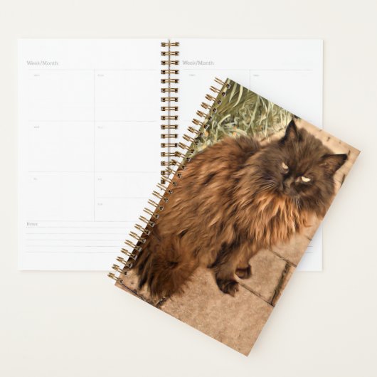 Schöne Katze Planer (Anzeige)