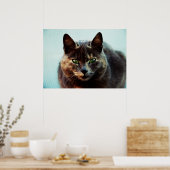 Schöne Katze Poster (Küche)