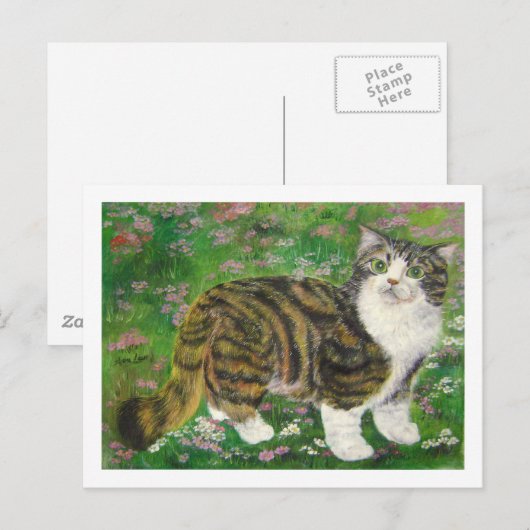 schöne Katze Postkarte (Vorne/Hinten)