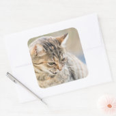 Schöne Katze Quadratischer Aufkleber (Umschlag)