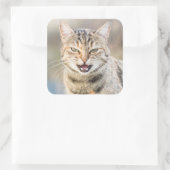 Schöne Katze Quadratischer Aufkleber (Tasche)