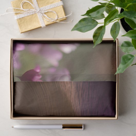 Schöne Katze, türkisfarbene Augen Seidenpapier (Geschenk)