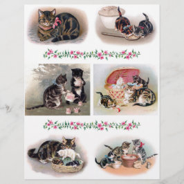 Schöne Katze und Kitten Illustrationen H. Maguire