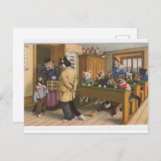 Schöne Katzen im Klassenzimmer, gekleidet, Postkar Postkarte (Vorne/Hinten)