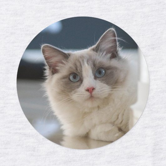 Schöne Katzen-Labels Etiketten (Design 1)