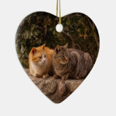 Schöne Katzen, Ornamente (Rechts)