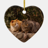Schöne Katzen, Ornamente (Vorne)