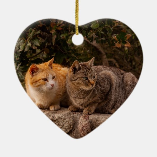 Schöne Katzen, Ornamente (Hinten)