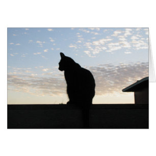 Schöne Katzen-Silhouette am Sonnenuntergang