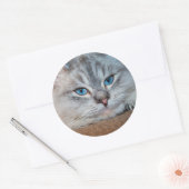 Schöne katzenblaue Augen Runder Aufkleber (Umschlag)