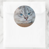 Schöne katzenblaue Augen Runder Aufkleber (Tasche)