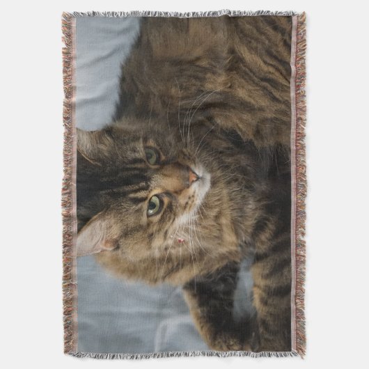 schöne Katzendecke Decke (Vorderseite Vertikal)