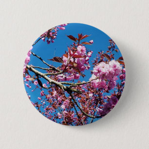 Schöne Kirschblüten im Frühling Button