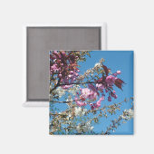 Schöne Kirschblüten im Frühling Magnet (Vorderseite/Rückseite)