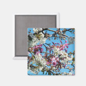 Schöne Kirschblüten im Frühling Magnet (Vorderseite/Rückseite)