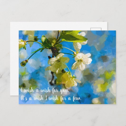 Schöne Kirschblüten Postkarte (Vorne/Hinten)