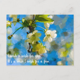 Schöne Kirschblüten Postkarte