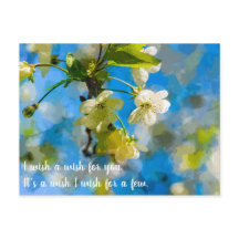 Schöne Kirschblüten