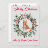 Schöne Kitten Ferienkarte Feiertagskarte (Vorne/Hinten)