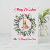 Schöne Kitten Ferienkarte Feiertagskarte (Stehend Vorderseite)