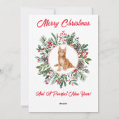 Schöne Kitten Ferienkarte Feiertagskarte (Rückseite)