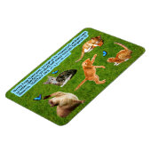 Schöne Kitten Scripture Magnet Matthew 18:3 (Linke Seite)