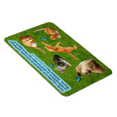 Schöne Kitten Scripture Magnet Matthew 18:3 (Rechte Seite)