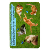 Schöne Kitten Scripture Magnet Matthew 18:3 (Vertikal)