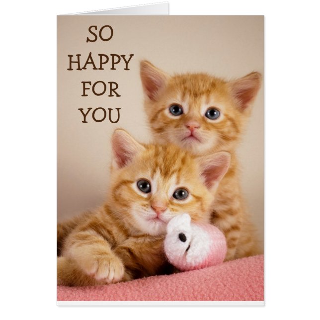 SCHÖNE "KITTENS" GRATULIERUNGEN ZU IHRER "ADOPTION (Vorne)
