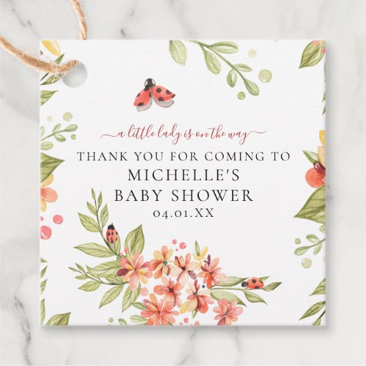 Schöne kleine Ladybug Babydusche Geburtstag Geschenkanhänger (Vorderseite)