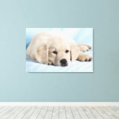 Schöne kleine Welpe Leinwanddruck (Insitu (Holzboden))