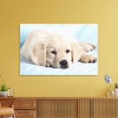 Schöne kleine Welpe Leinwanddruck (Insitu (Wohnzimmer))