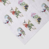 Schöne Kolibri-Vintages Kunst-Seidenpapier Seidenpapier (Ausschnitt)