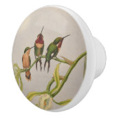 schöne Kolibris Keramikknauf (Rechts)