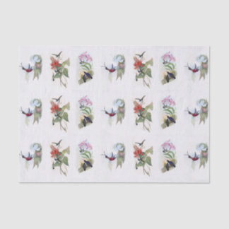 Schöne Kolibris Vintage-Kunst-Tissue-Papier Seidenpapier