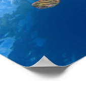 Schöne Korallen-Unterwasserposter / Wandkunst Poster (Ecke)