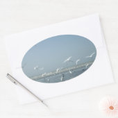 Schöne Krane, die über das Ballett der Natur flieg Ovaler Aufkleber (Umschlag)