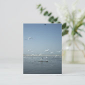 Schöne Krane, die über das Ballett der Natur flieg Postkarte (Stehend Vorderseite)