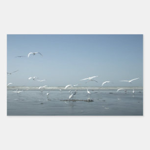 Schöne Krane, die über das Ballett der Natur flieg Rechteckiger Aufkleber