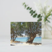 Schöne Kreta Postkarte (Stehend Vorderseite)