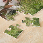 Schöne Kühe auf der Naturfotografie "Weide" Puzzle (Seite)